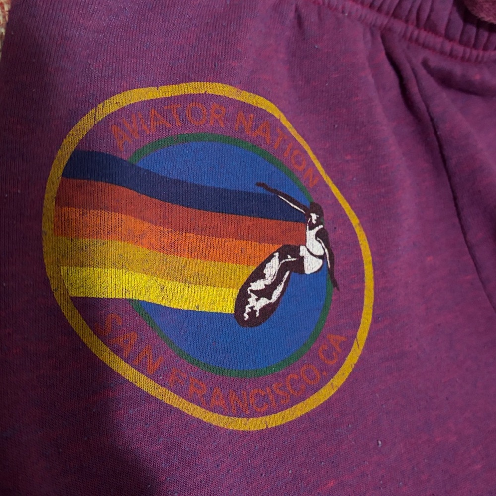 Aviator Nation Sweatpants - Picture 4 of 5